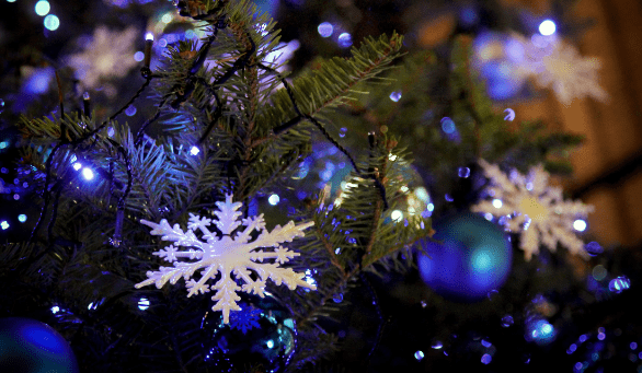 Как прошли новогодние каникулы в Приморье