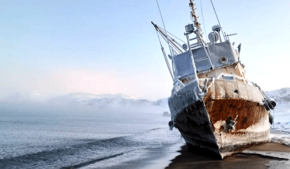 «Визит Мурманск»: ежедневные экскурсии в Териберку