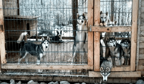 «Визит Мурманск»: на мартовские выходные – в Мурманск