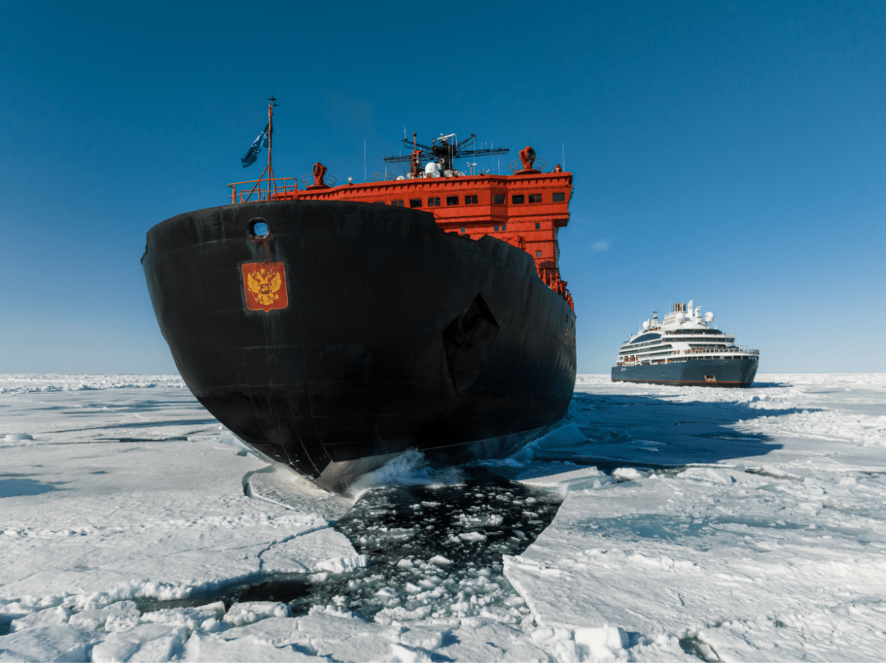 Круизные ледоколы из России и Франции встретились на Северном полюсе
