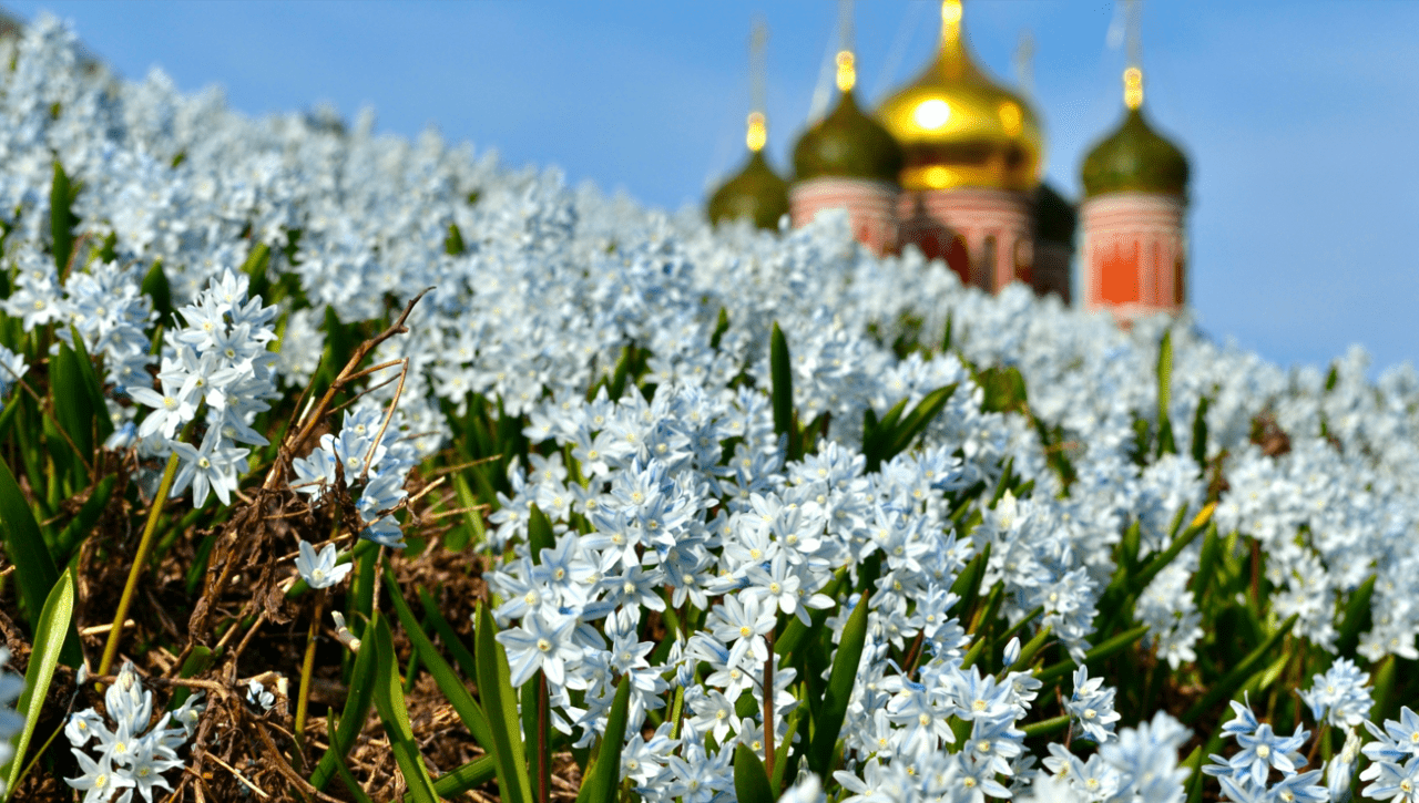 Лишь 2% россиян поедут отдыхать за рубеж на майские праздники