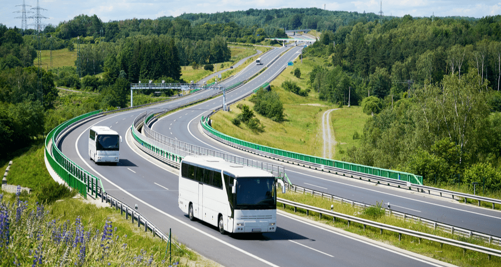 ГИБДД уточнила правила перевозки детей автобусами после обращения РСТ
