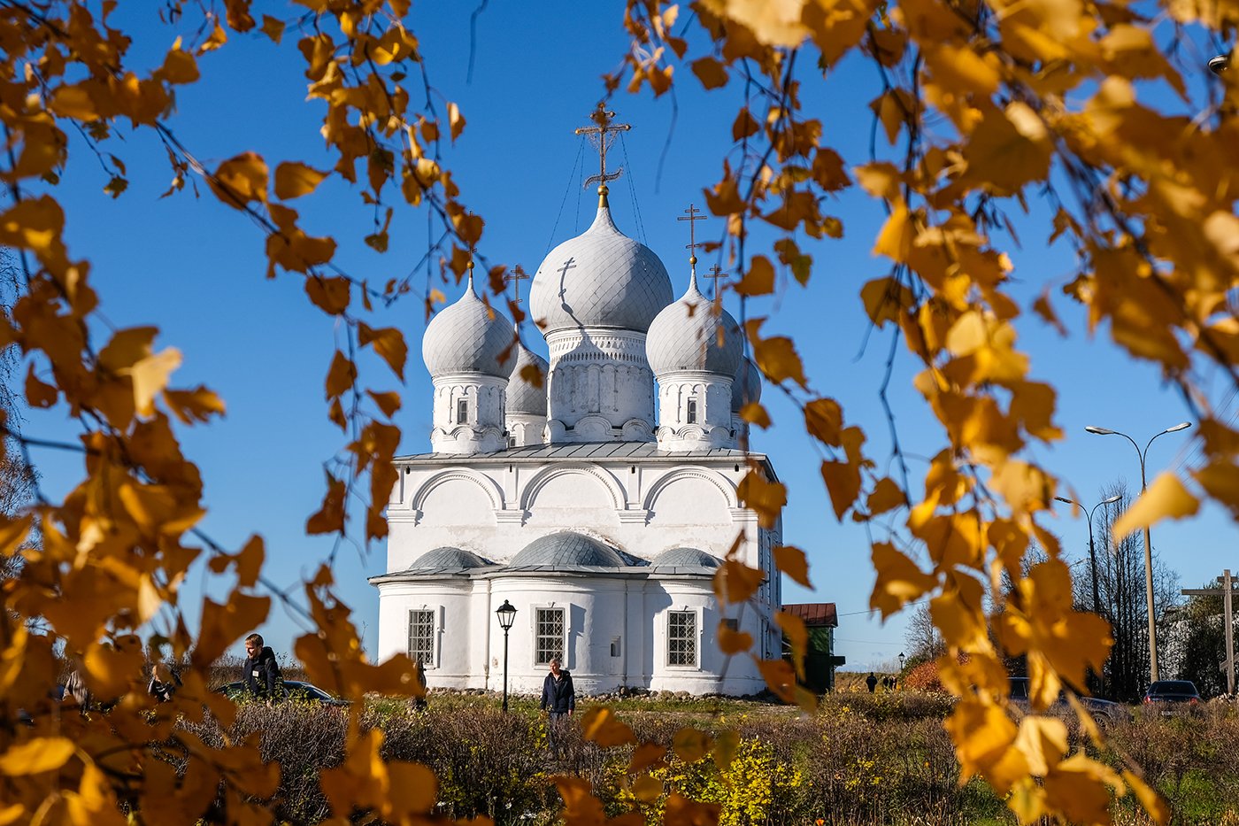 Спасо-Преображенский собор. Фото: Дмитрий Тельнов