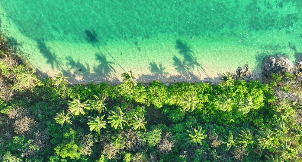 Устремятся ли россияне в Мозамбик в случае отмены виз