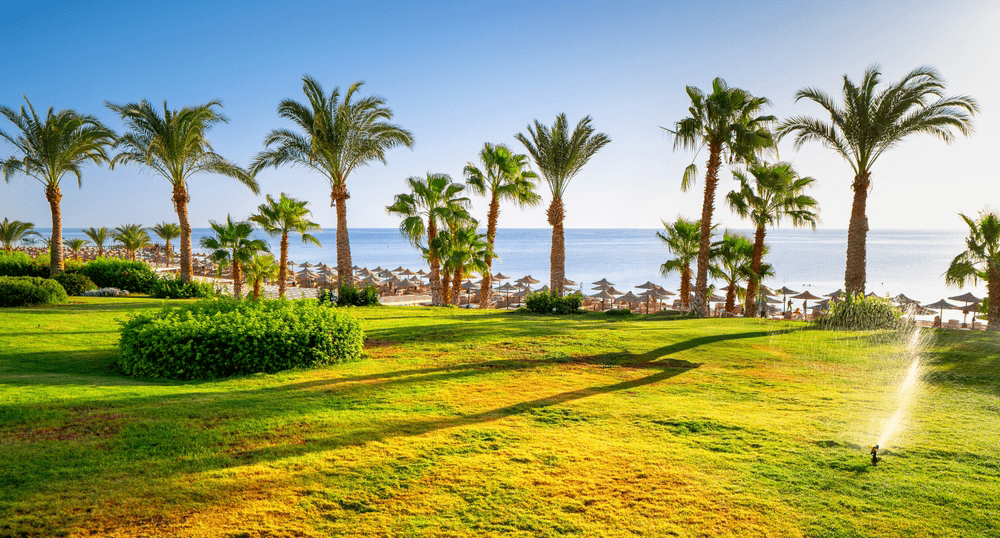 Туры в Египет на ноябрьские каникулы уже заканчиваются