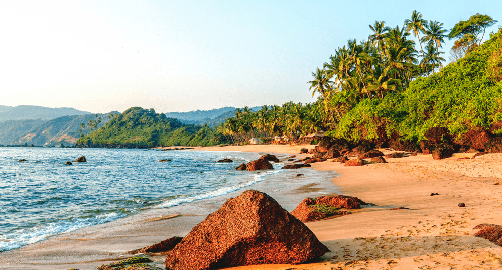 Coral Travel анонсировал новую полетную программу под Новый год