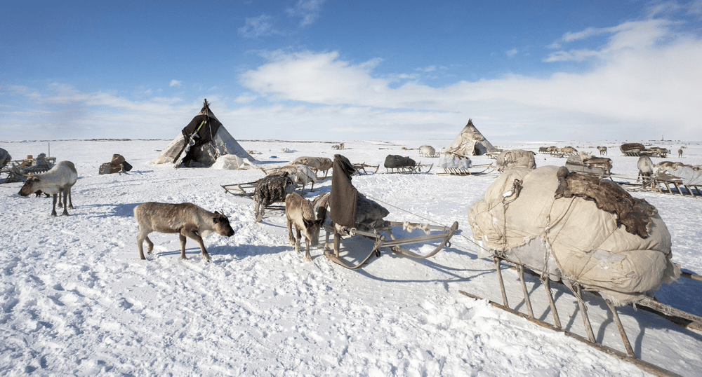 Состоятельные туристы стремятся встретить Новый год на российском севере