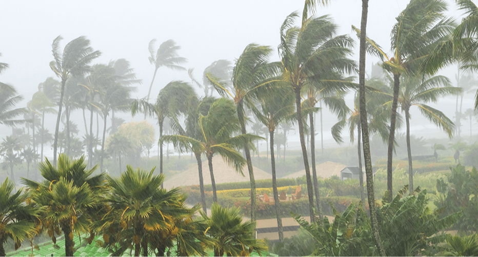 Тайфун «Калмаеги» в южноазиатском регионе практически не затронул туристов