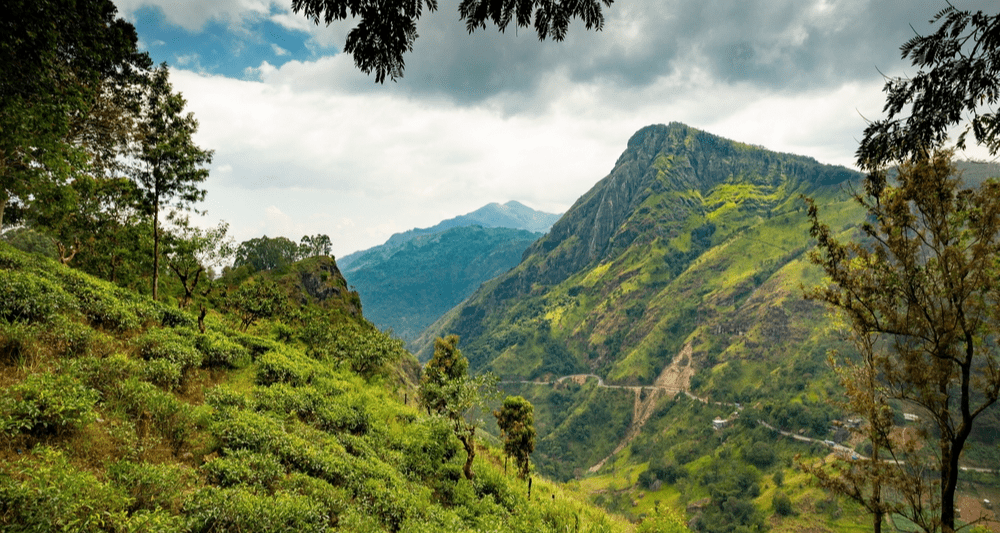 Почему упал интерес российских туристов к Шри-Ланке