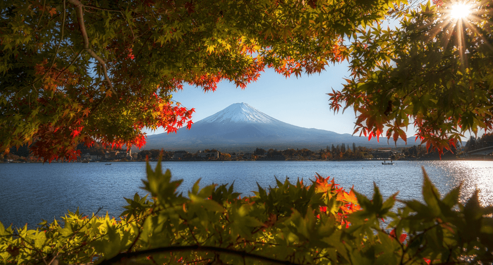 Турпоток из России в Японию в 2025 году вырос вдвое