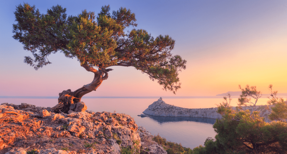 Продажи туров в Крым зависят от ситуации в Анапе