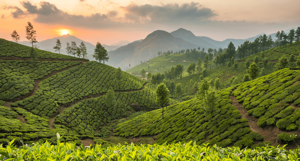 Шри-Ланка в 2026 году сделает акцент на продвижение дорогих туров