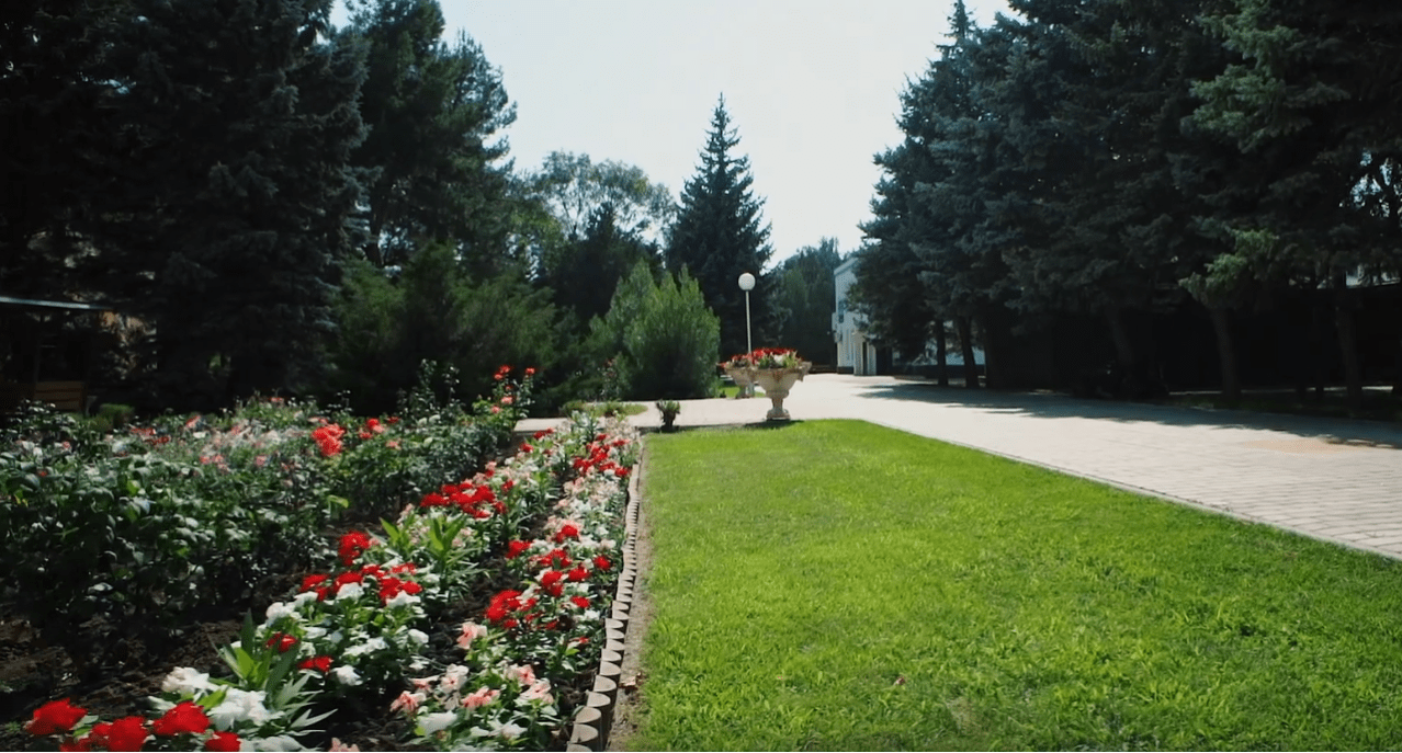 Карина Ватьян: «Брони идут и телефон уже не молчит, как год назад»