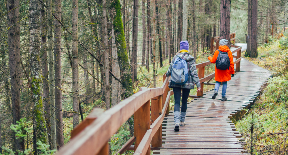 Значительная доля детских поездок в регионах организуется нелегально