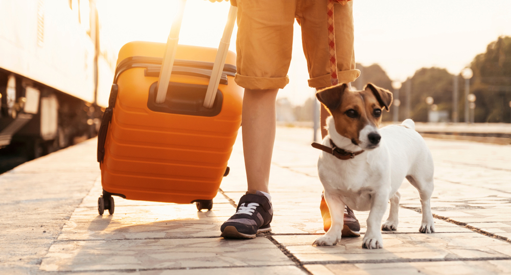 Путешествия с питомцами – тактики и практики на сессии «Интурмаркета»