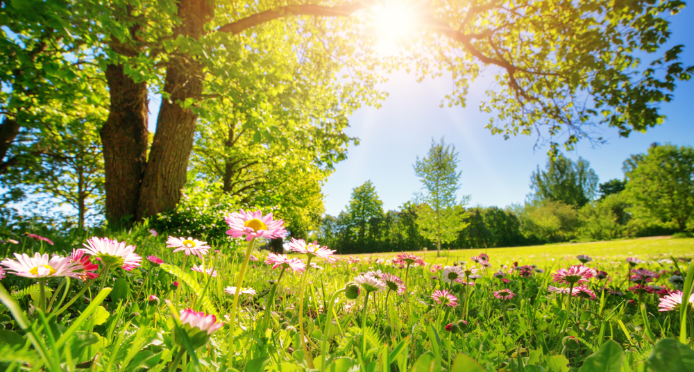 Майские праздники-2026: растут продажи Анапы и Крыма, снижается средний чек